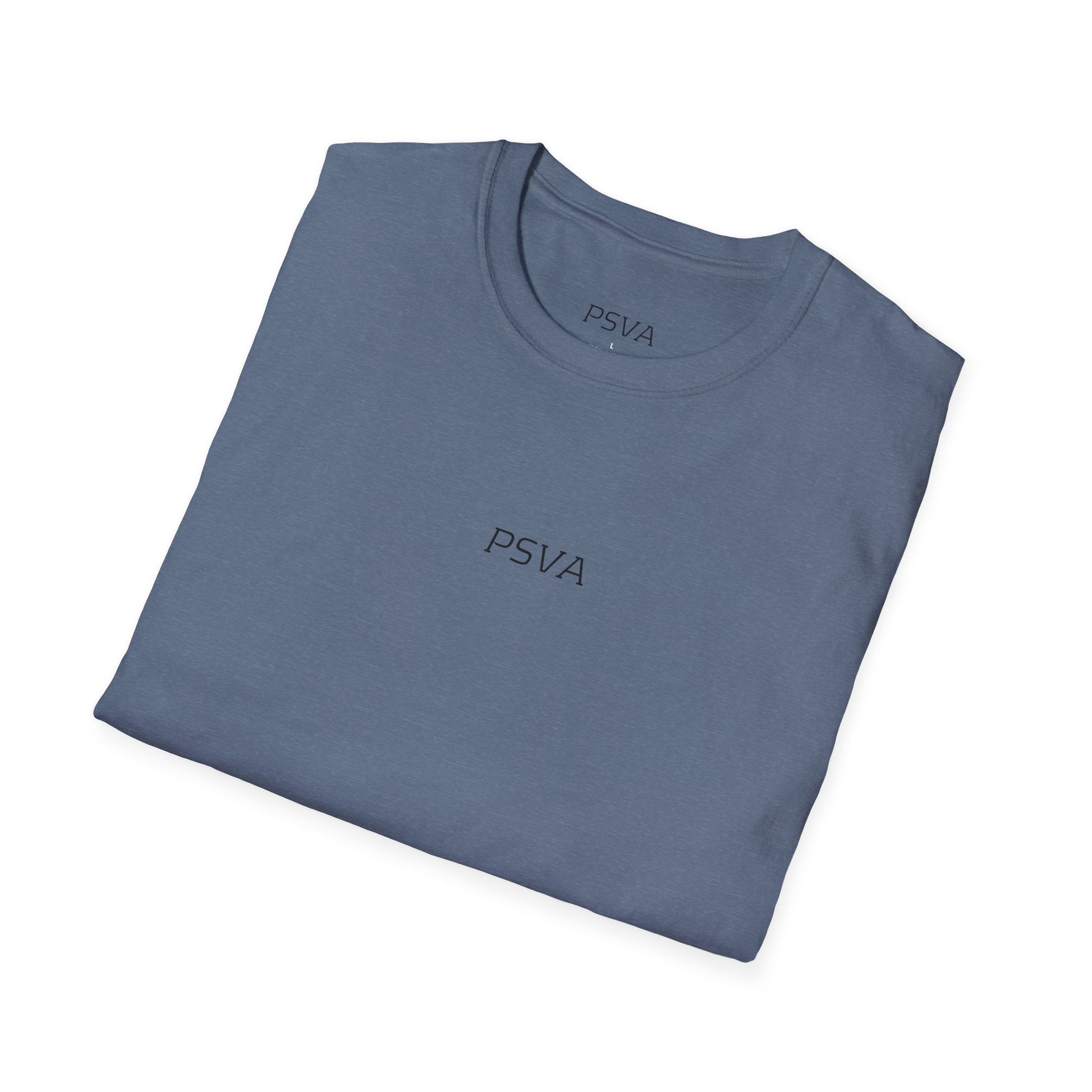 Unisex Softstyle Graphic T-Shirt