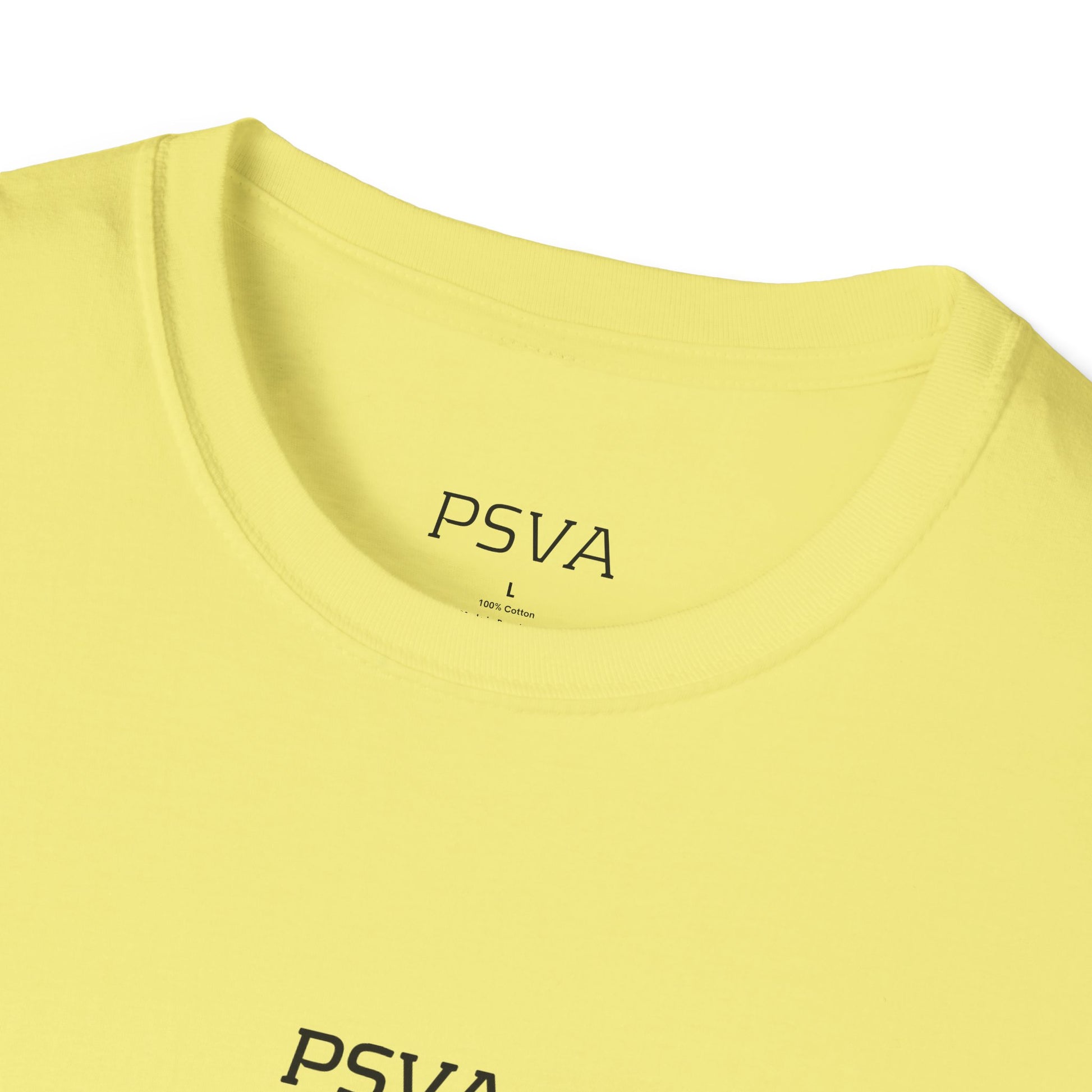 Unisex Softstyle Graphic T-Shirt