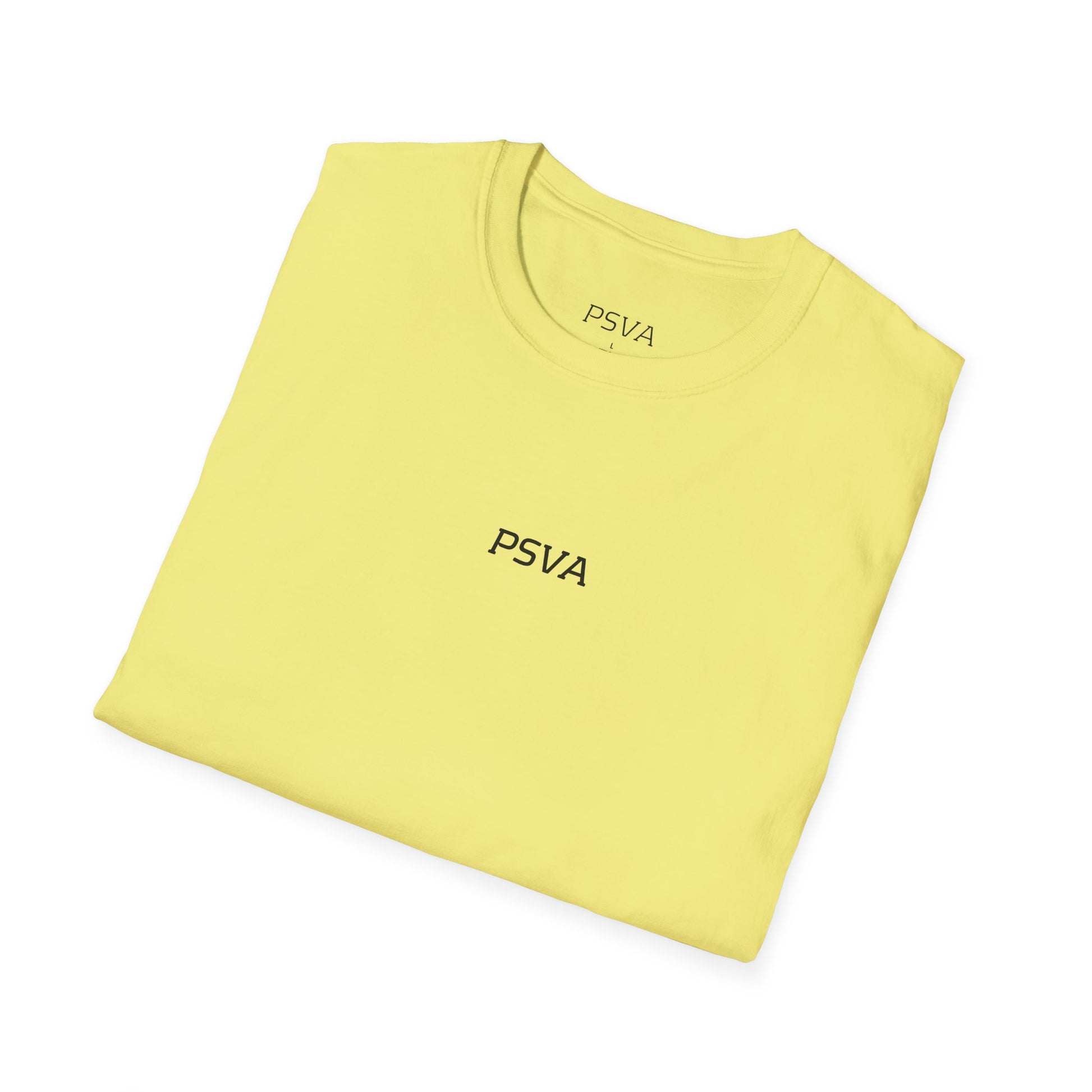 Unisex Softstyle Graphic T-Shirt