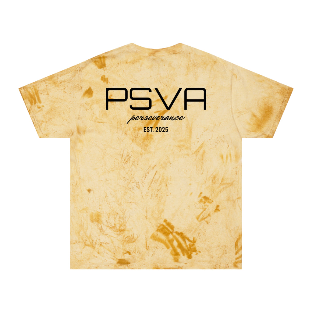 PSVA color blast T-Shirt